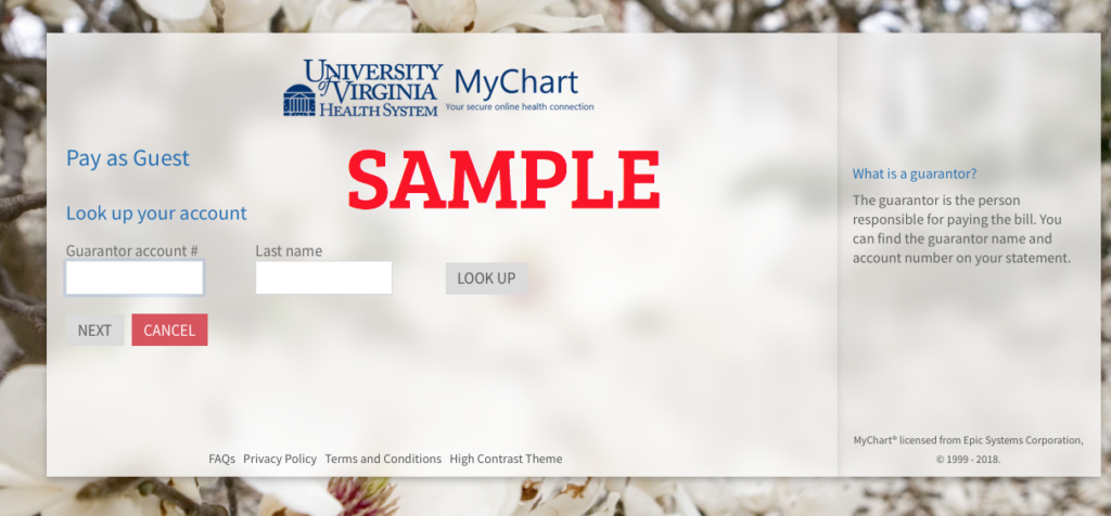 University Of Virginia Health System My Chart