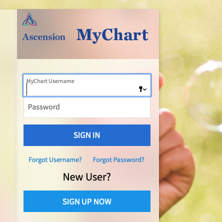 Wheaton Franciscan My Chart Login